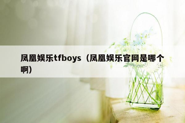 凤凰娱乐tfboys（凤凰娱乐官网是哪个啊）