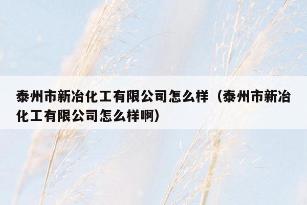 泰州市新冶化工有限公司怎么样（泰州市新冶化工有限公司怎么样啊）