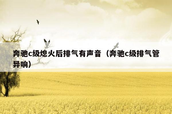 奔驰c级熄火后排气有声音（奔驰c级排气管异响）