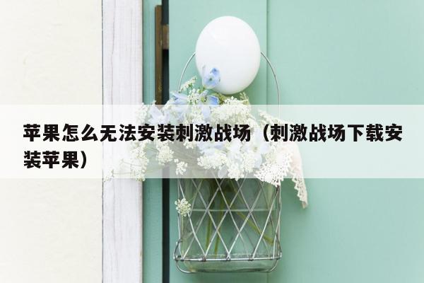 苹果怎么无法安装刺激战场（刺激战场下载安装苹果）