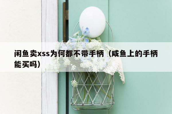 闲鱼卖xss为何都不带手柄（咸鱼上的手柄能买吗）