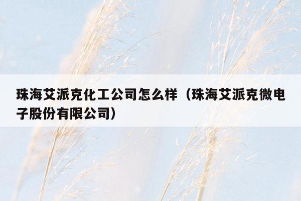 珠海艾派克化工公司怎么样（珠海艾派克微电子股份有限公司）