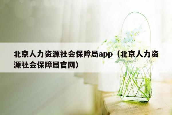 北京人力资源社会保障局app（北京人力资源社会保障局官网）