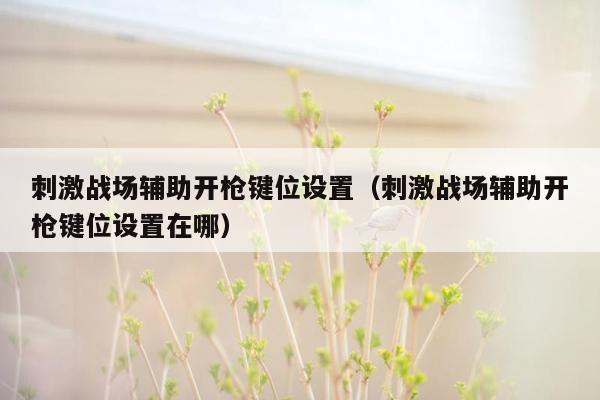 刺激战场辅助开枪键位设置（刺激战场辅助开枪键位设置在哪）