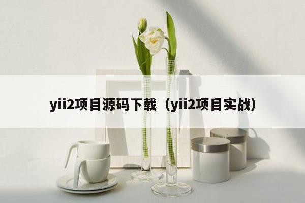 yii2项目源码下载（yii2项目实战）