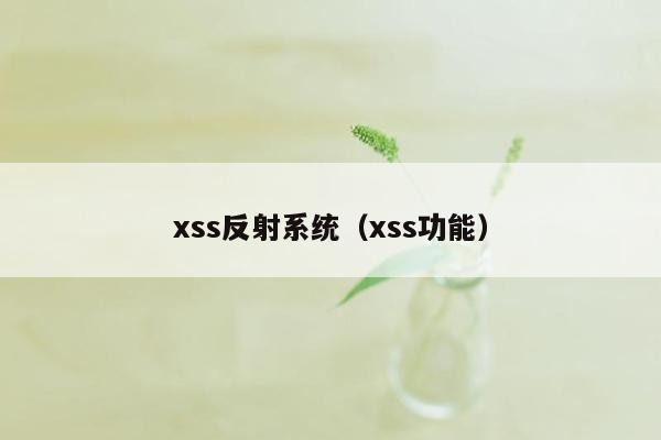 xss反射系统（xss功能）