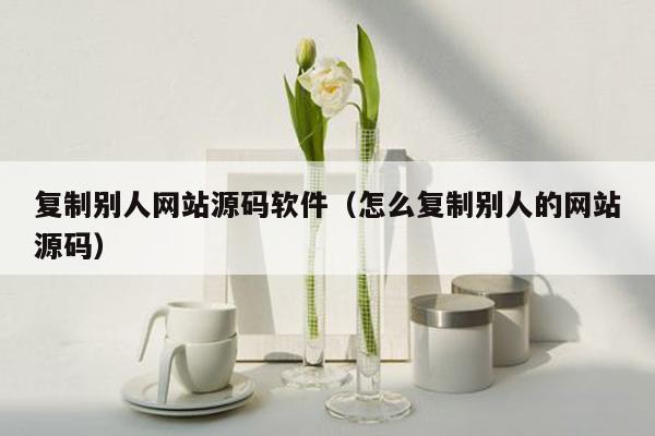 复制别人网站源码软件（怎么复制别人的网站源码）