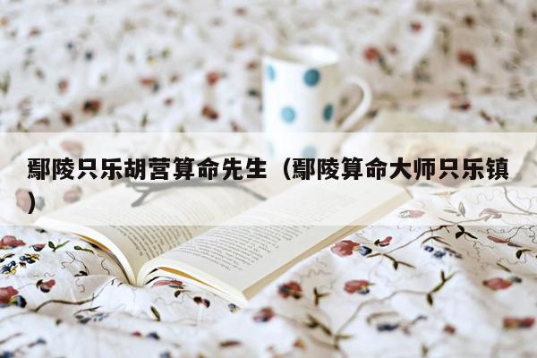 鄢陵只乐胡营算命先生（鄢陵算命大师只乐镇）