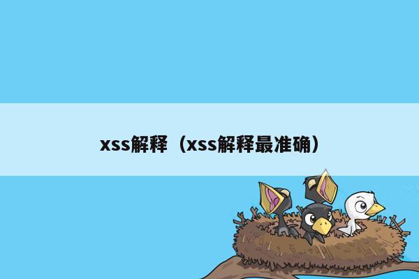xss解释（xss解释最准确）