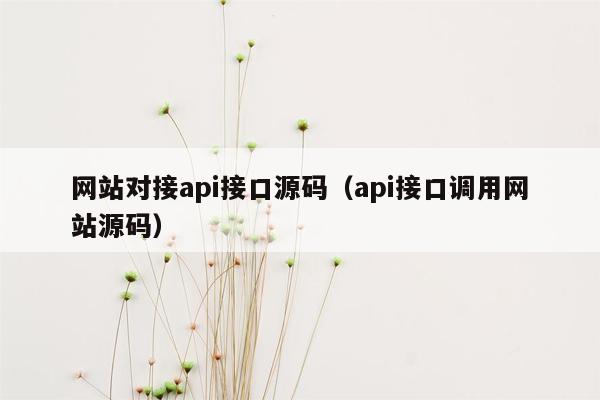 网站对接api接口源码（api接口调用网站源码）