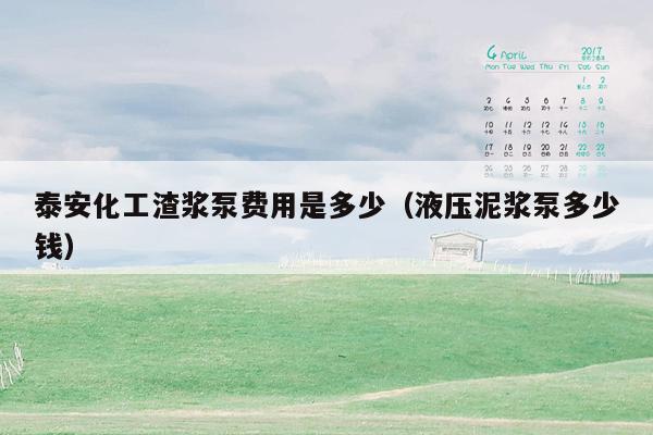 泰安化工渣浆泵费用是多少（液压泥浆泵多少钱）