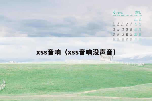 xss音响（xss音响没声音）
