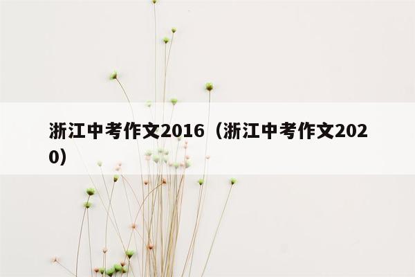 浙江中考作文2016（浙江中考作文2020）