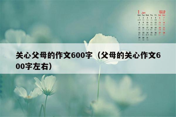 关心父母的作文600字（父母的关心作文600字左右）