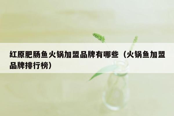红原肥肠鱼火锅加盟品牌有哪些（火锅鱼加盟品牌排行榜）