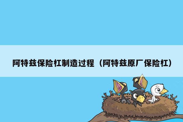 阿特兹保险杠制造过程（阿特兹原厂保险杠）