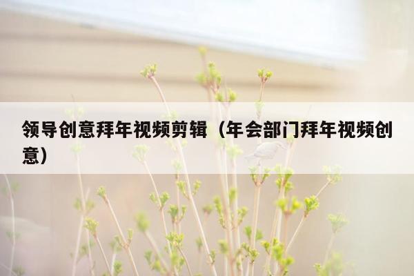 领导创意拜年视频剪辑（年会部门拜年视频创意）