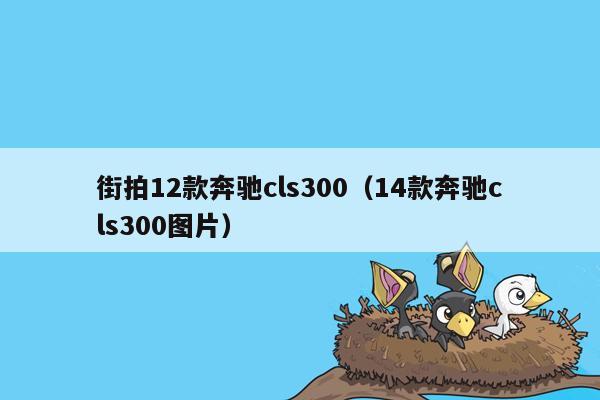 街拍12款奔驰cls300（14款奔驰cls300图片）