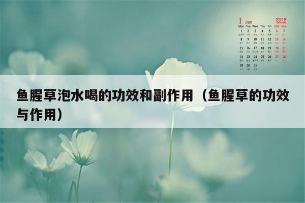 鱼腥草泡水喝的功效和副作用（鱼腥草的功效与作用）