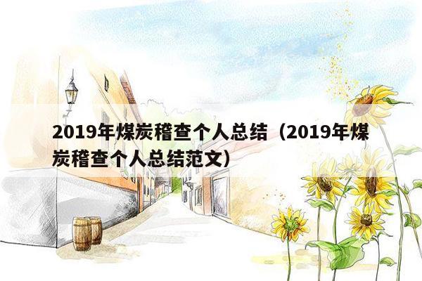 2019年煤炭稽查个人总结（2019年煤炭稽查个人总结范文）