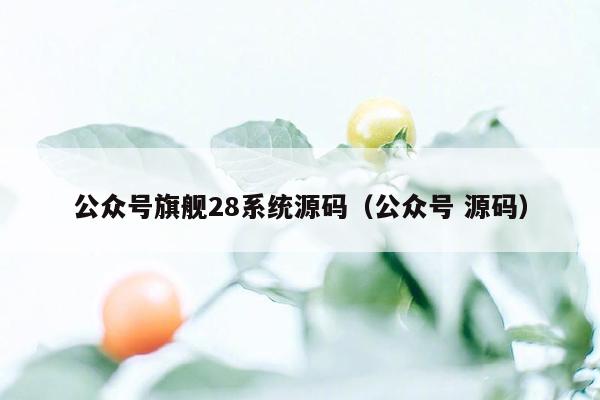 公众号旗舰28系统源码（公众号 源码）