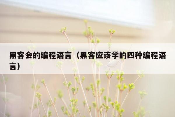 黑客会的编程语言（黑客应该学的四种编程语言）