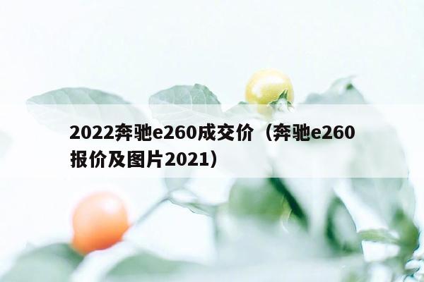 2022奔驰e260成交价（奔驰e260报价及图片2021）