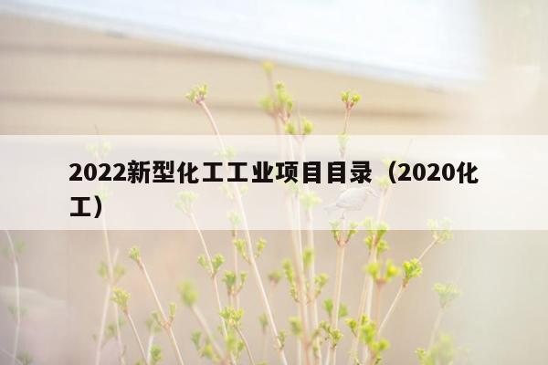 2022新型化工工业项目目录（2020化工）