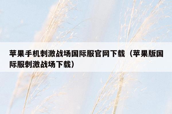 苹果手机刺激战场国际服官网下载（苹果版国际服刺激战场下载）