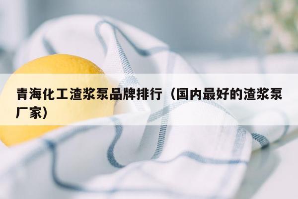 青海化工渣浆泵品牌排行（国内最好的渣浆泵厂家）