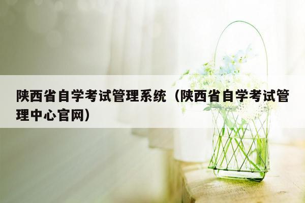 陕西省自学考试<strong>管理系统</strong>（陕西省自学考试管理中心官网）