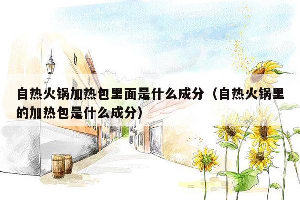 自热火锅加热包里面是什么成分（自热火锅里的加热包是什么成分）