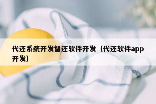 代还系统开发智还软件开发（代还软件app开发）