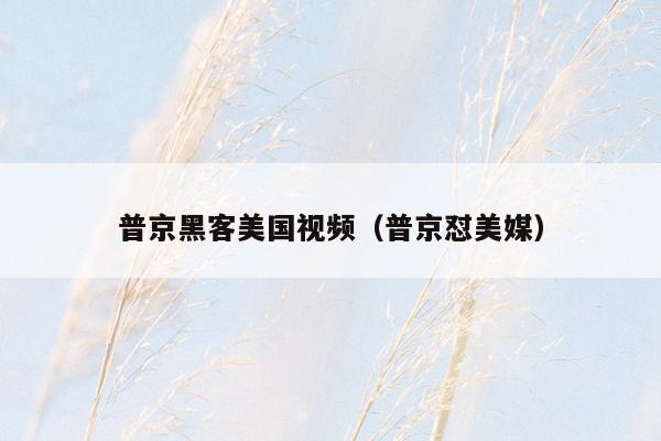 普京黑客美国视频（普京怼美媒）