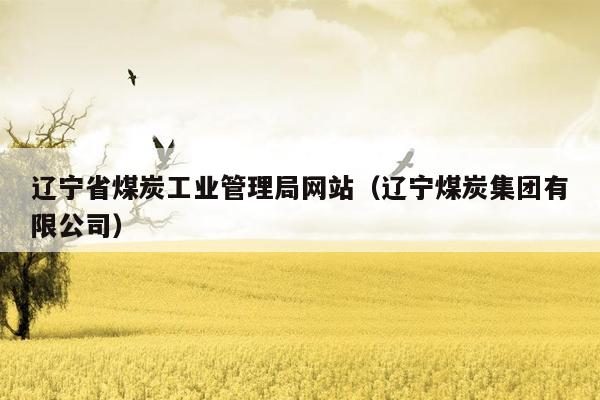 辽宁省煤炭工业管理局网站（辽宁煤炭集团有限公司）