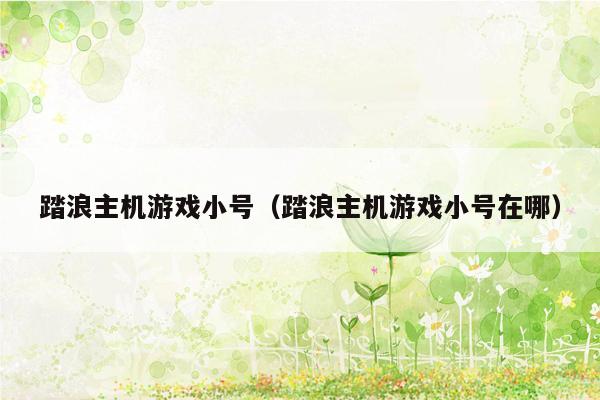 踏浪主机游戏小号（踏浪主机游戏小号在哪）