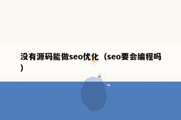 没有源码能做seo优化（seo要会编程吗）