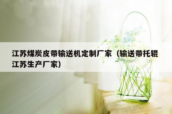 江苏煤炭皮带输送机定制厂家（输送带托辊 江苏生产厂家）