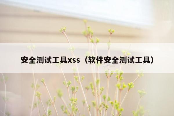 安全测试工具xss（软件安全测试工具）