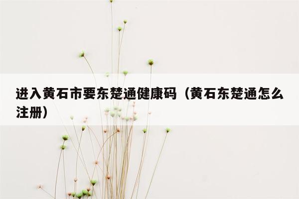 进入黄石市要东楚通健康码（黄石东楚通怎么注册）