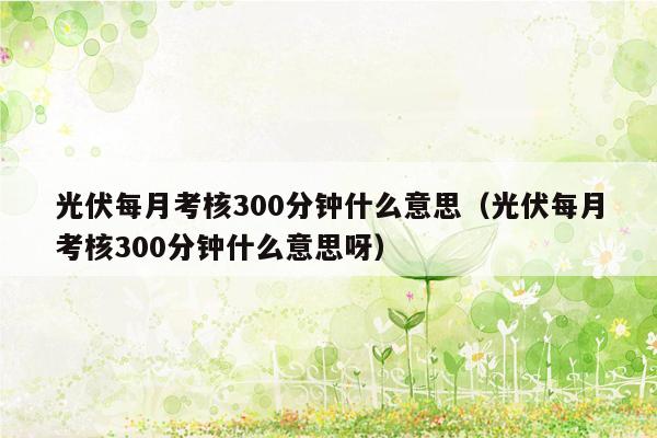 光伏每月考核300分钟什么意思（光伏每月考核300分钟什么意思呀）