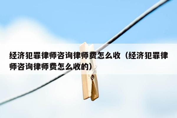 经济犯罪律师咨询律师费怎么收（经济犯罪律师咨询律师费怎么收的）