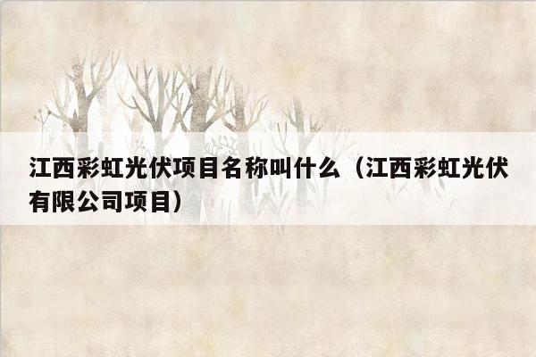 江西彩虹光伏项目名称叫什么（江西彩虹光伏有限公司项目）