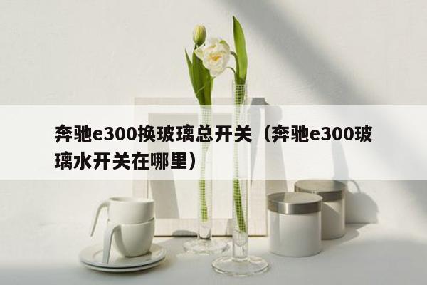 奔驰e300换玻璃总开关（奔驰e300玻璃水开关在哪里）