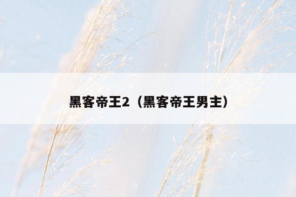 黑客帝王2（黑客帝王男主）