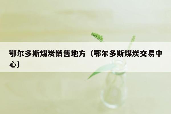 鄂尔多斯煤炭销售地方（鄂尔多斯煤炭交易中心）