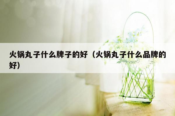 火锅丸子什么牌子的好（火锅丸子什么品牌的好）