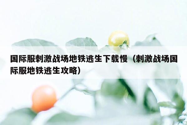 国际服刺激战场地铁逃生下载慢（刺激战场国际服地铁逃生攻略）