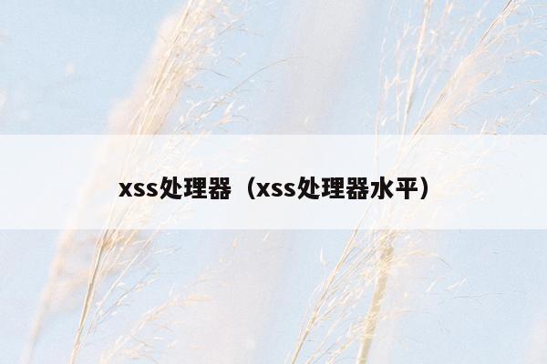 xss处理器（xss处理器水平）