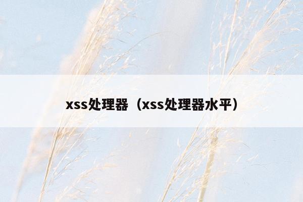 xss处理器（xss处理器水平）